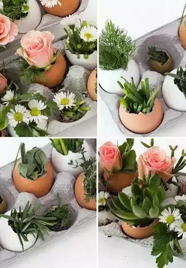 鸡蛋壳托盘手工作品创意,鸡蛋壳手工制作创意粘贴墙面画