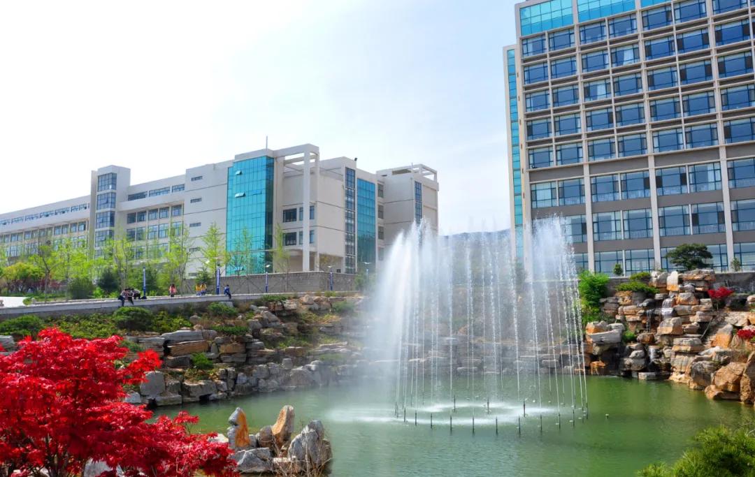 新生攻略视频,新生介绍通关攻略