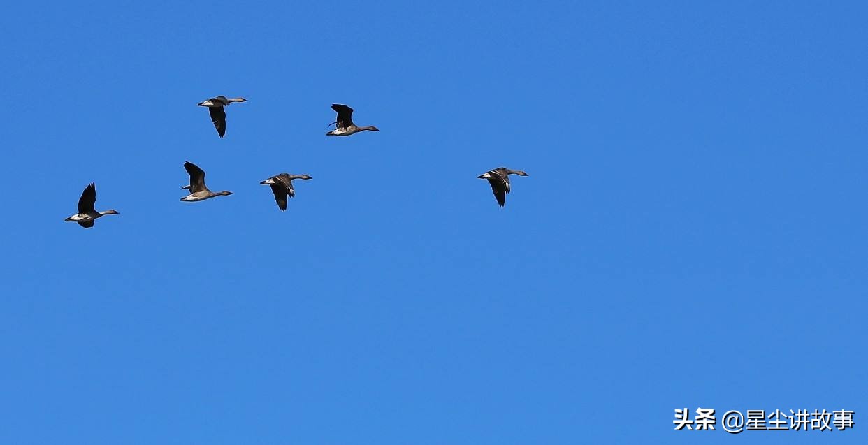 纹身不纹关公眼,纹身不纹三眼关公