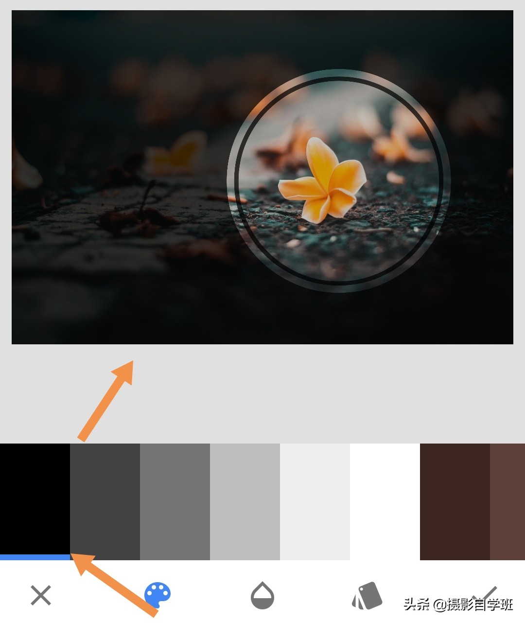 摄影拍出抽象风格照片5个诀窍,照片怎么加虚化