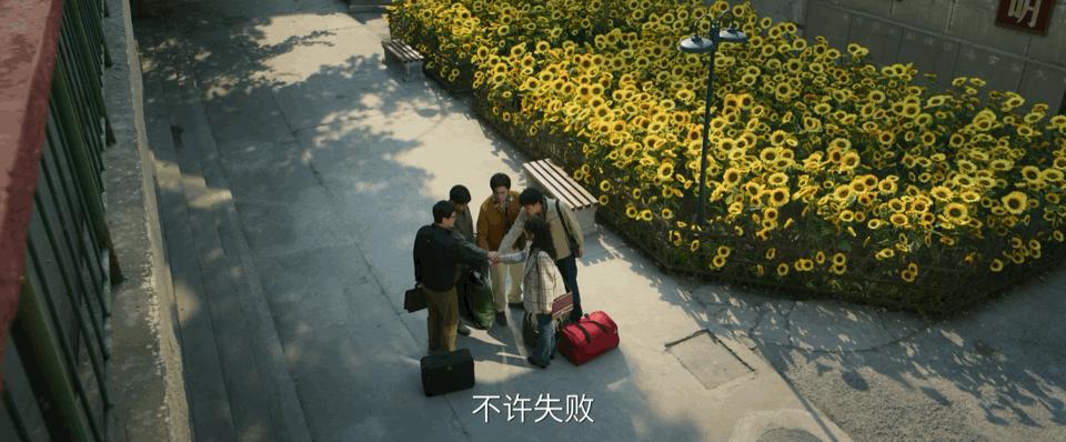 吴磊新剧酒瓶砸头剧名叫什么,吴磊新剧启航