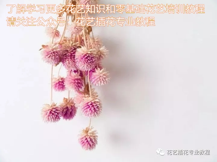 「花艺知识」50种常见花材的花语~（建议收藏）
