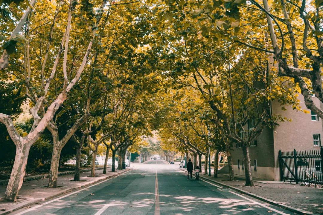 去大连海边玩一趟要多少钱,去海滨城玩有什么攻略