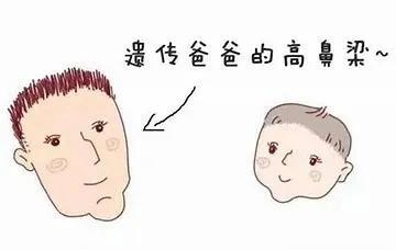 捏鼻梁能让鼻子变挺么,经常捏鼻梁真的会让鼻梁变高吗