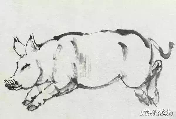 小朋友画猪简单又好看,猪年画猪中国画