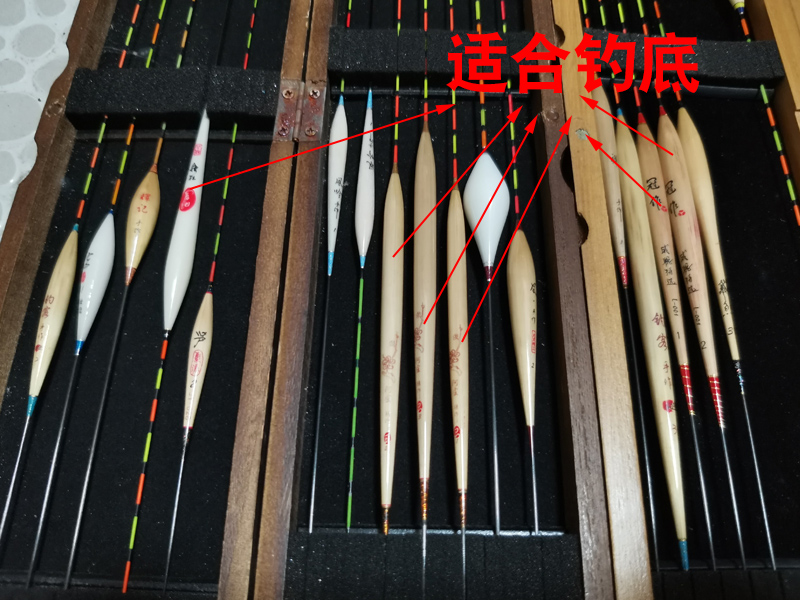 妄想山海鲮鱼成熟后怎么进阶,钓鲮鱼1.5主线0.8子线可以吗