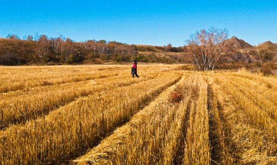 沽源县的简介,沽源县各乡镇的来历