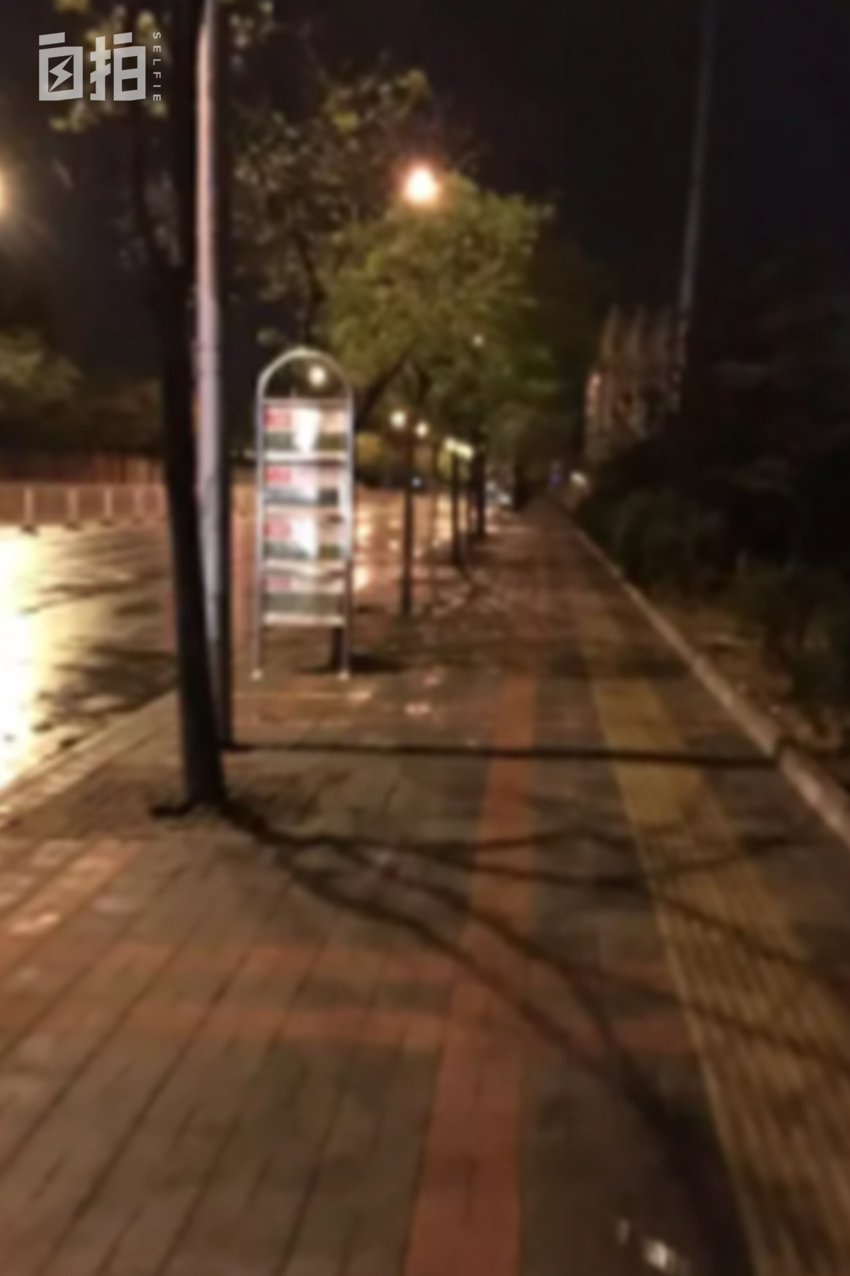 程序员35岁当小学老师,程序员回县城当老师怎么样