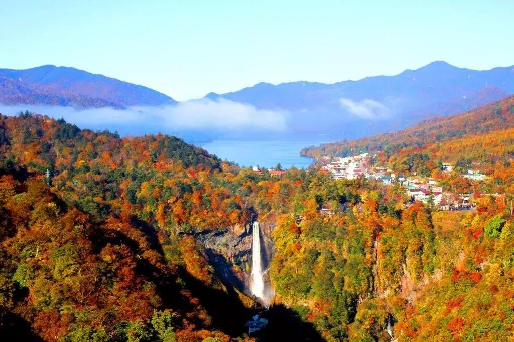 日本东京旅游攻略小众景点,日本东京小众旅游攻略