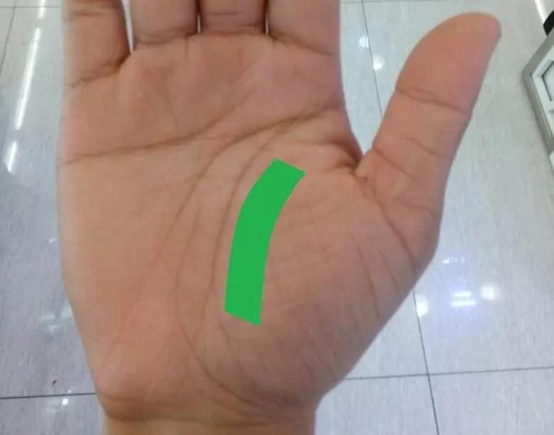 手健康有多重要,手型看健康