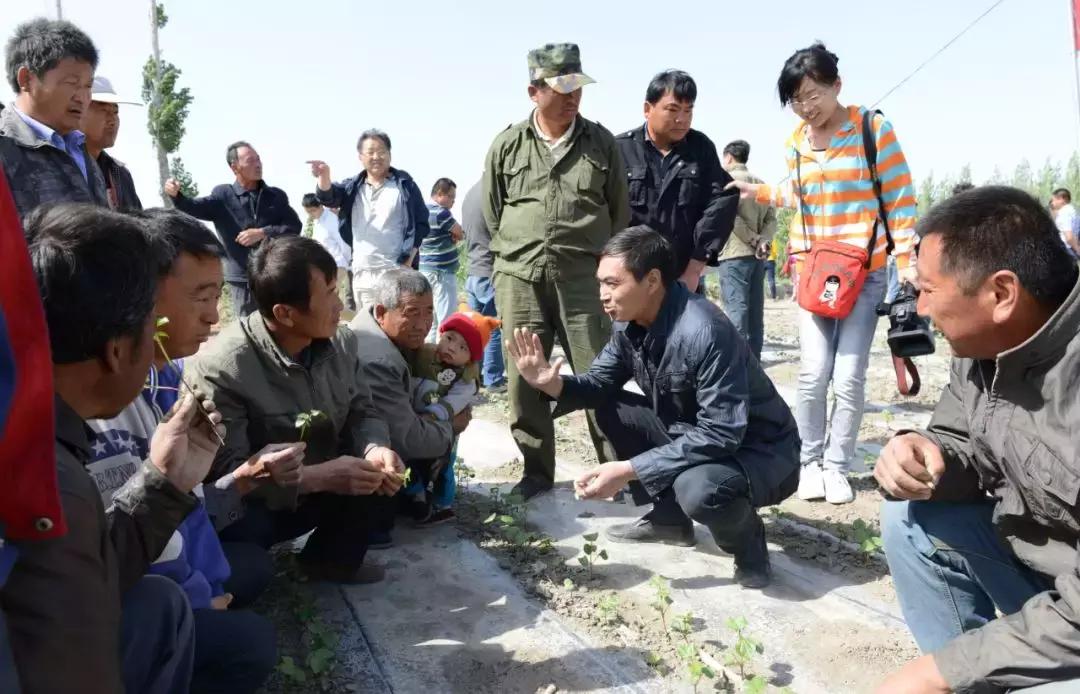 培养出50位中国院士的人是谁,培养了27位院士的中国天才