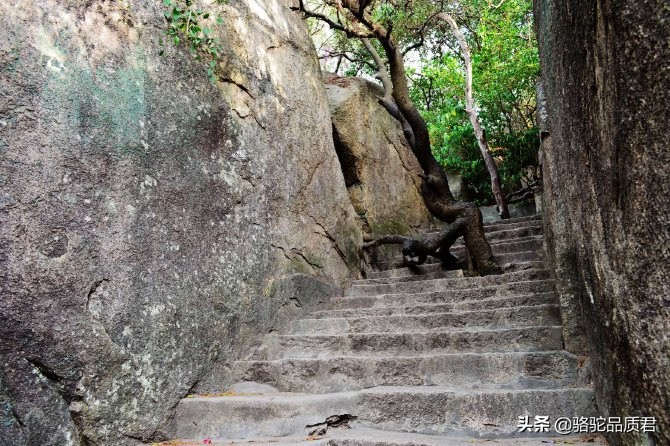 厦门海边之旅,厦门小众旅游体验