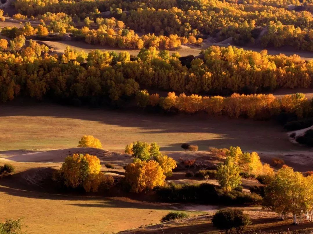 1011月错过它们,等于错过整个秋天!人少清净,随手一拍都是大片