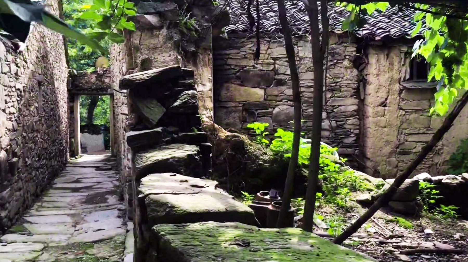 武汉周边最美古村一日游,旅游武汉这里藏着一座秘境森林