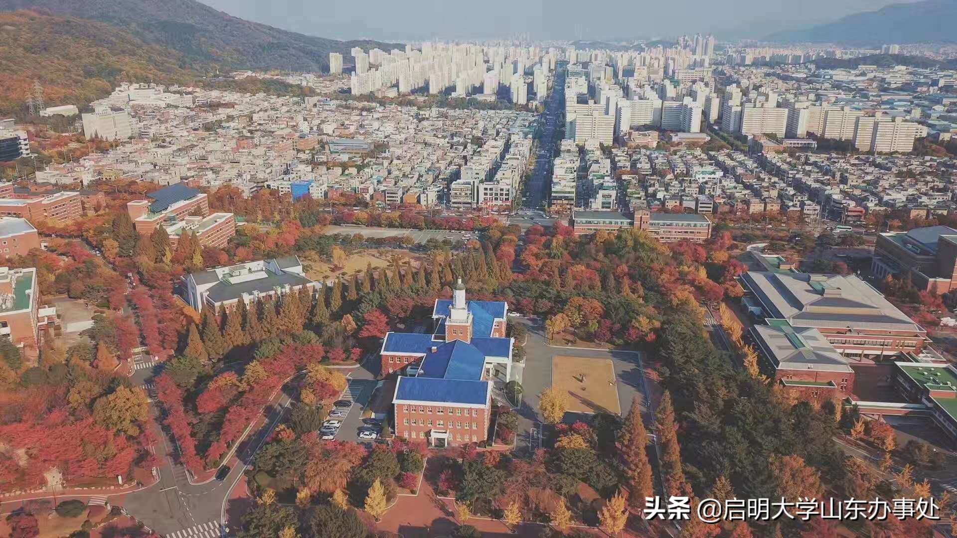 韩国启明大学语学院,韩国启明大学专业