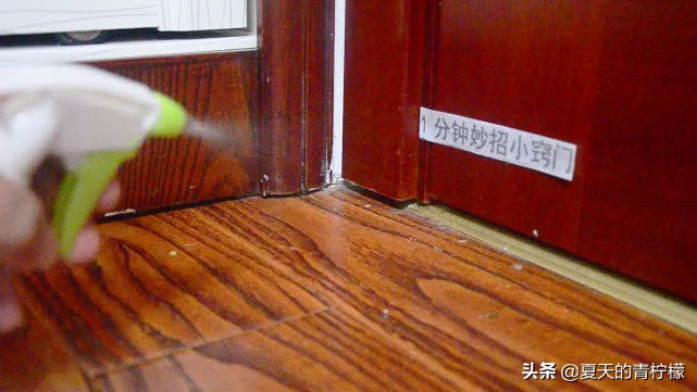 家里有蚂蚁不用买蚂蚁药怎么处理,家里有蚂蚁别再用开水烫了