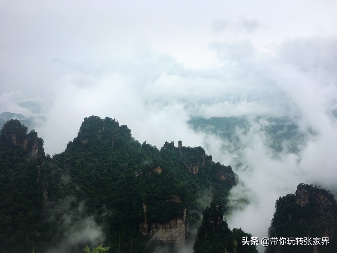到张家界天门山自助游价格多少钱,武汉到张家界天门山三日游