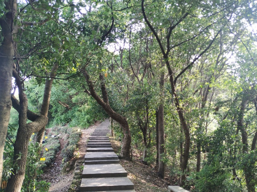 杭州西湖茶山游玩攻略,杭州西湖边游玩