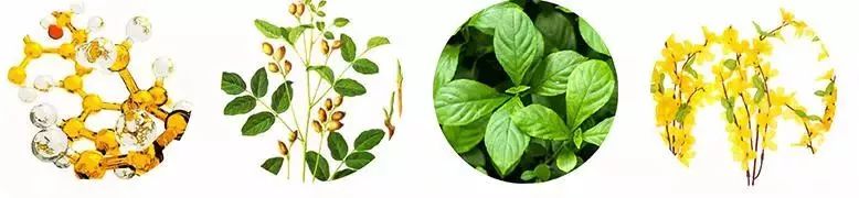 2岁半宝宝口臭幽门螺旋杆菌,4岁的宝宝有口臭是积食吗