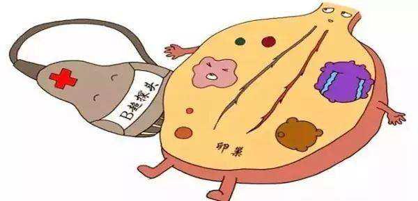 经期催乳素高怎么回事,月经紊乱能导致泌乳素高吗