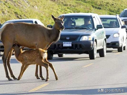 澳币为什么跌这么多,澳币为什么跌那么多