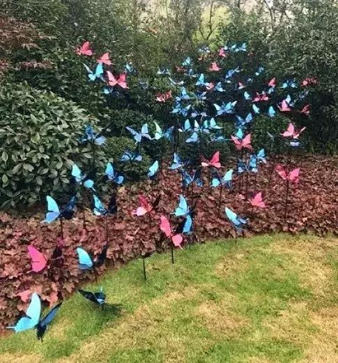 23号湿地嘉年华,湿地公园大庆嘉年华