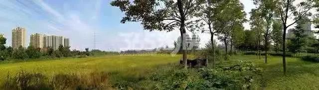 理性分析未来的市场,理性分析房源