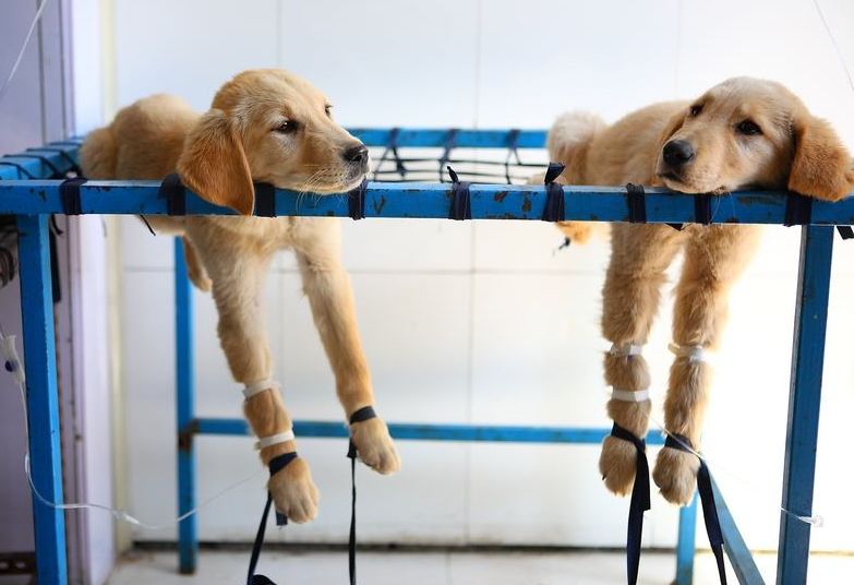 如何巧妙的和女生搭讪,怎么样与美女搭讪