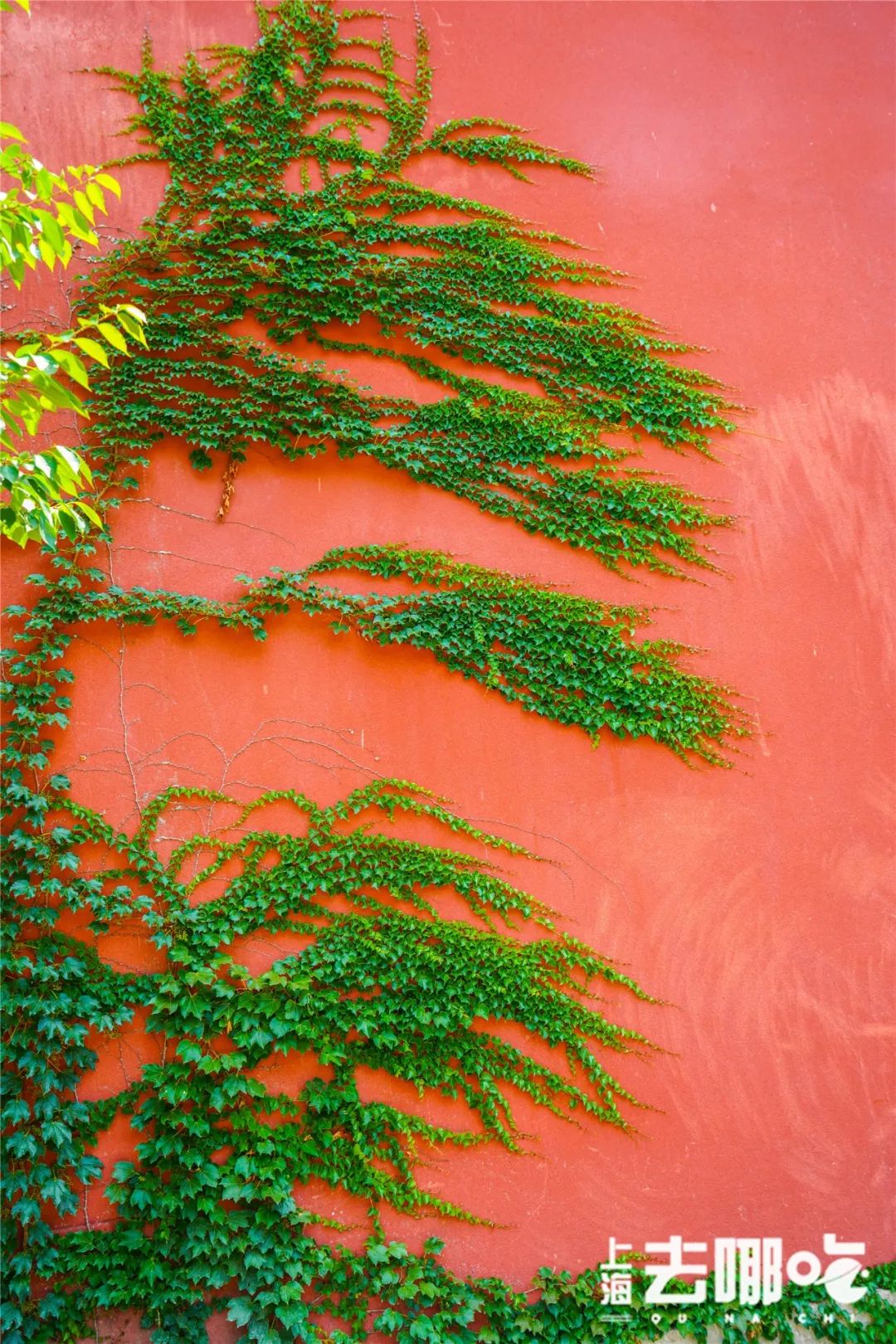 上海国庆免费景点推荐,上海值得去的免费景点旅游攻略