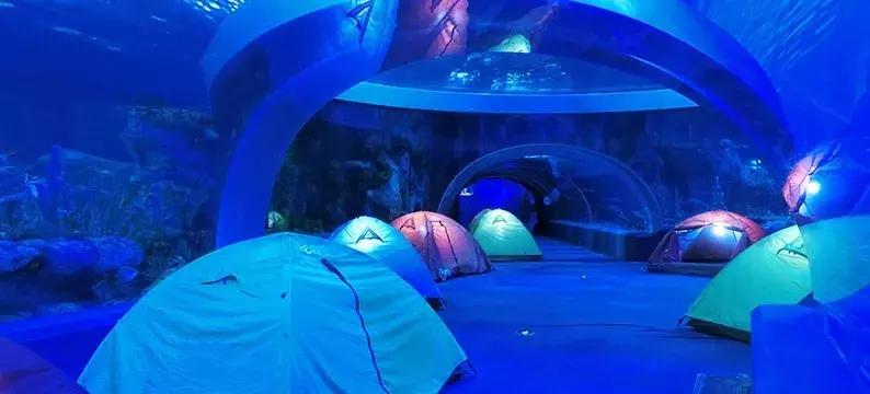 珠海长隆亲子游攻略自由行,珠海长隆亲子游最佳攻略