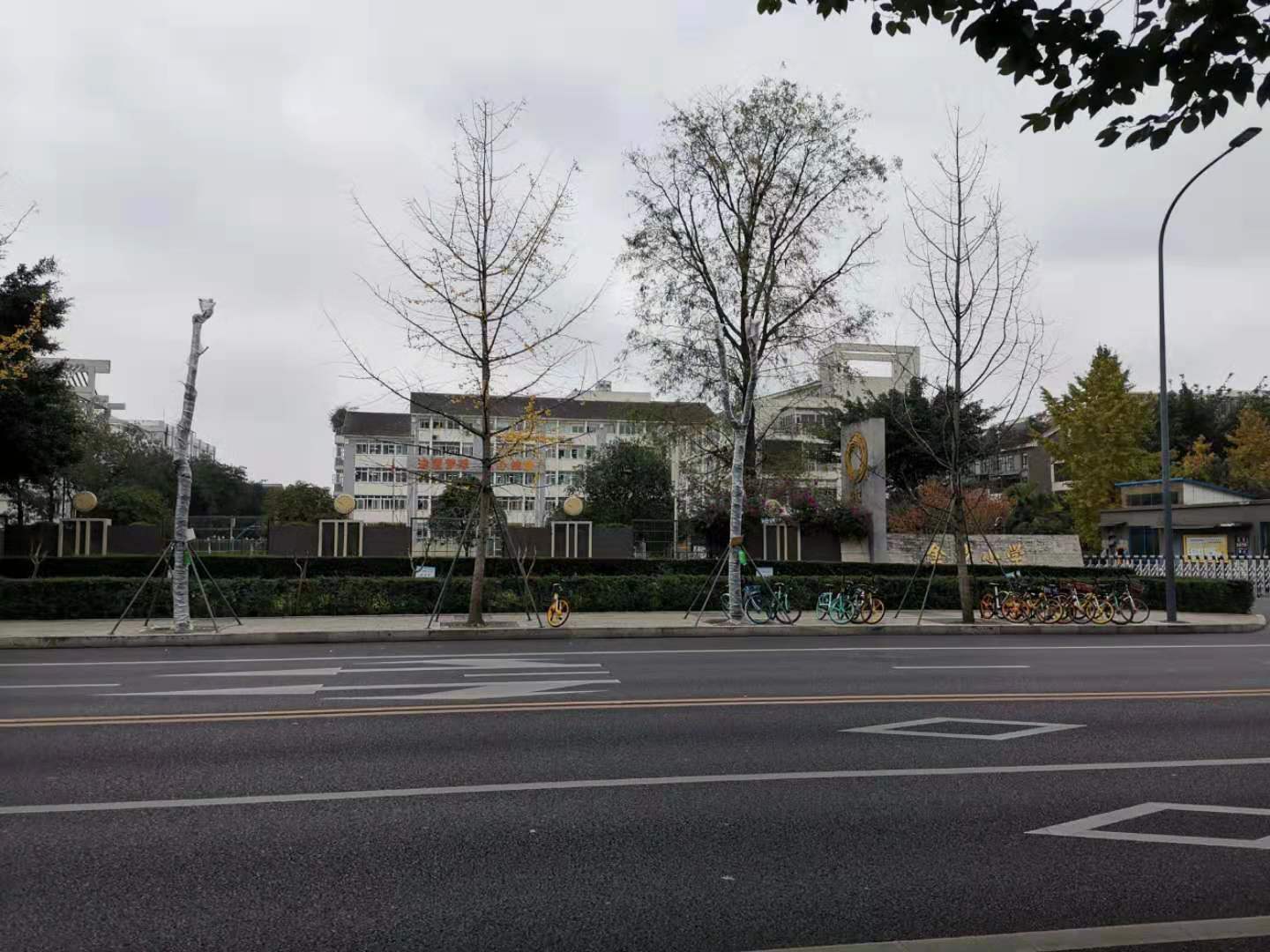 成都金沙城最新房价,成都金沙房价走势最新消息