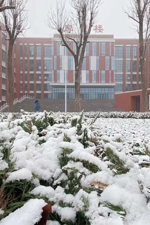 潍坊理工学院值得去吗,点评潍坊理工学院