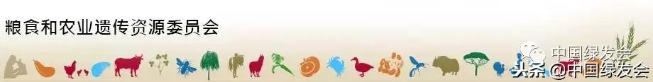 FAO遗传委2019年2月将审议“粮农植物遗传资源数字序列信息”