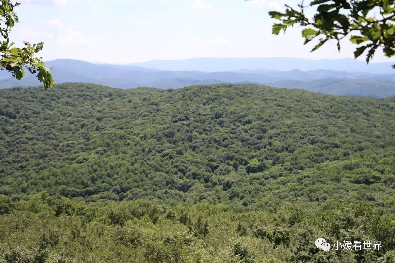 哈尔滨周边将军山,哈尔滨将军山森林公园