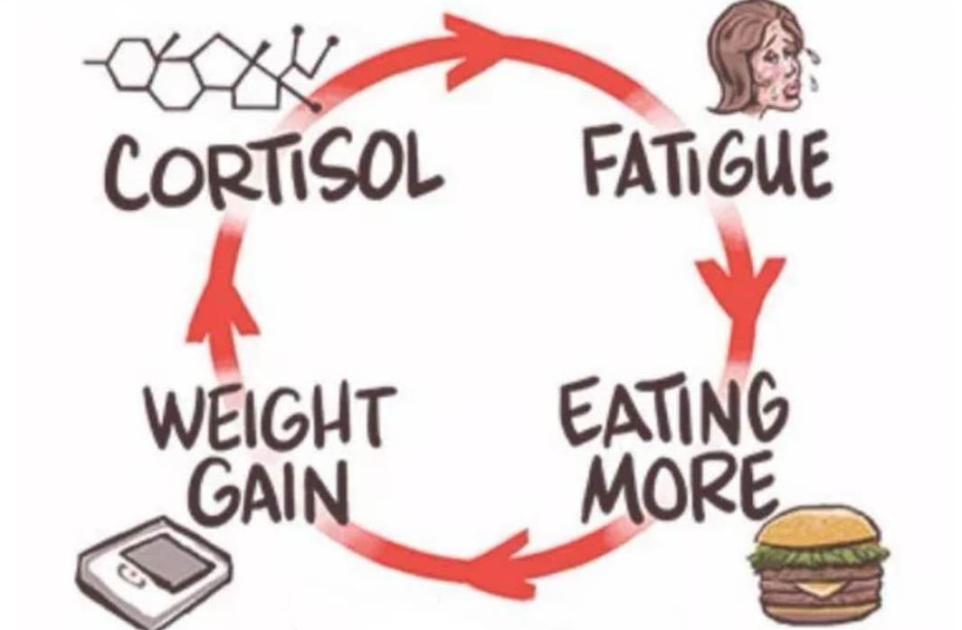 为什么皮质醇高影响减脂,减脂期早餐怎么吃降低皮质醇