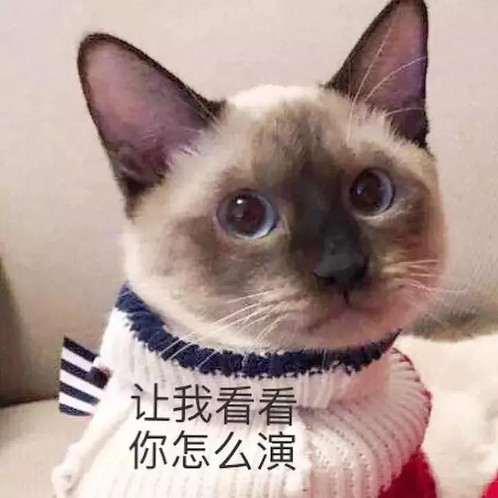 猫咪尿血怎么治疗好得快,猫咪尿血有什么方法可以治吗