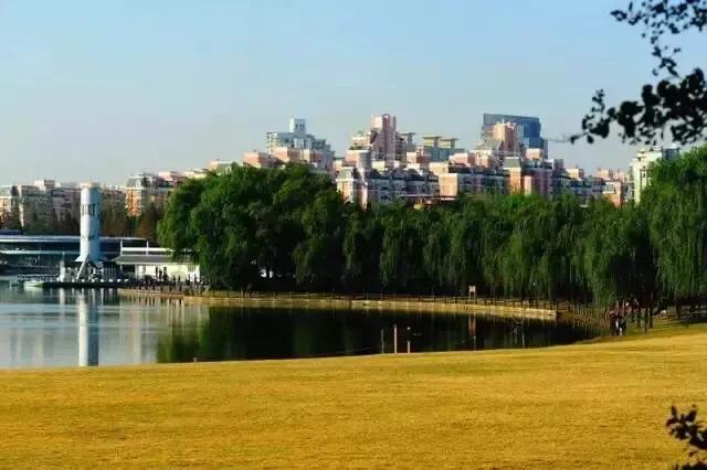 上海站到上海新国际博览中心地铁,上海地铁沿线景点排名