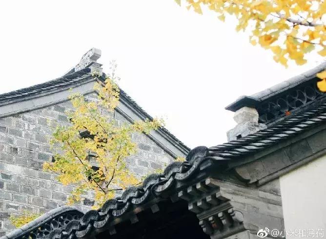 南京的秋天浪漫吗,一起去看南京最美的秋天