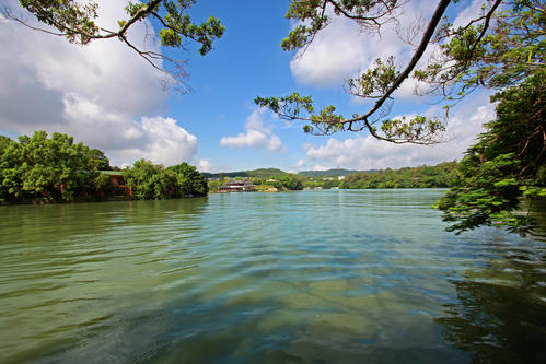 是夏天呀,是夏天呐