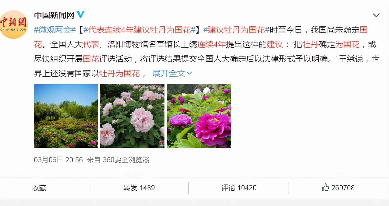 中国的国花是哪一种,中国的国花是什么时间定的