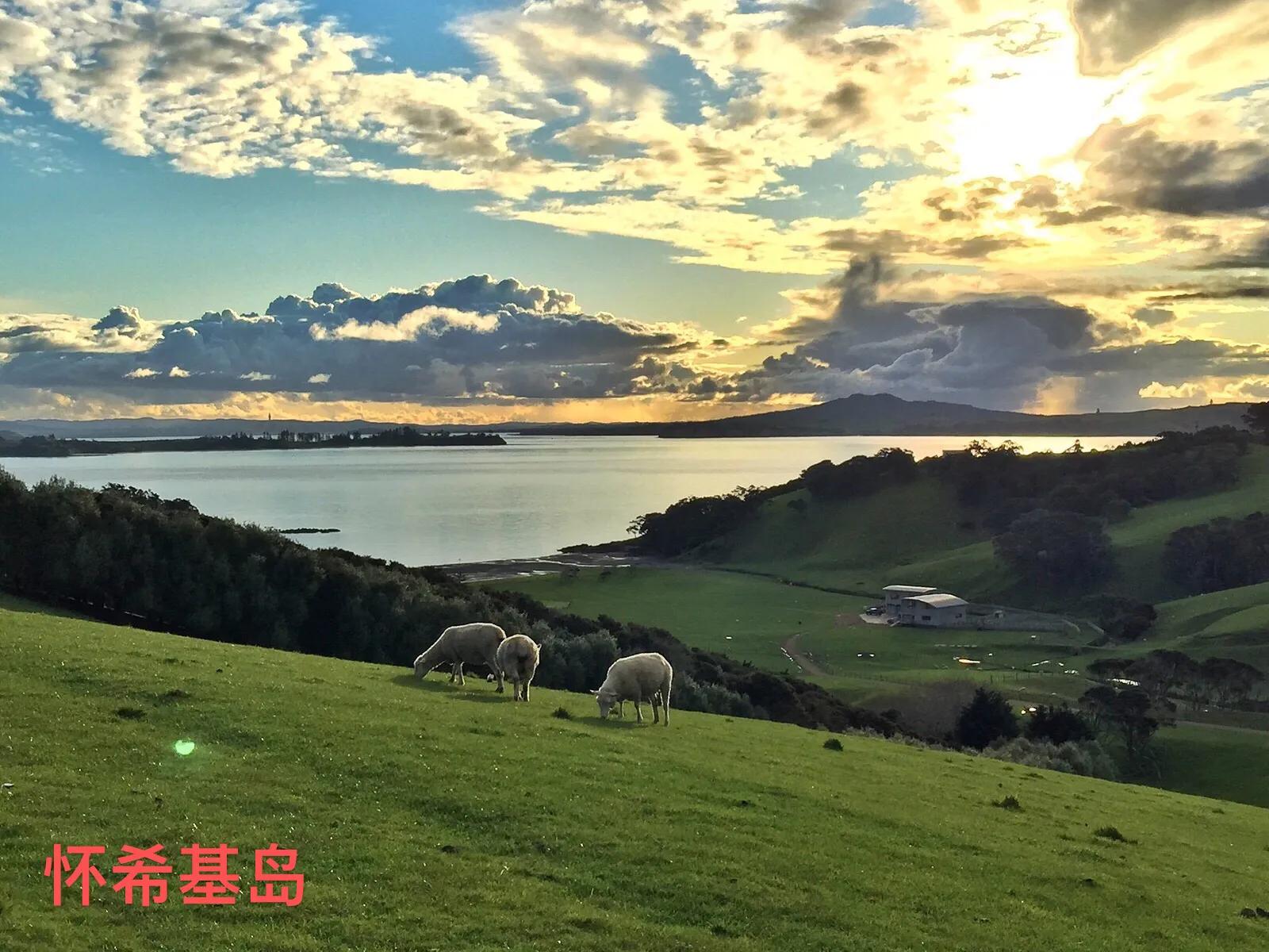 你知道吗人民币的主要成分,你知道吗你就是我的意外