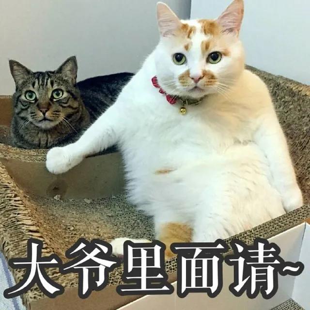 消散结节最有效的偏方,身体多种结节一个方子就能消散