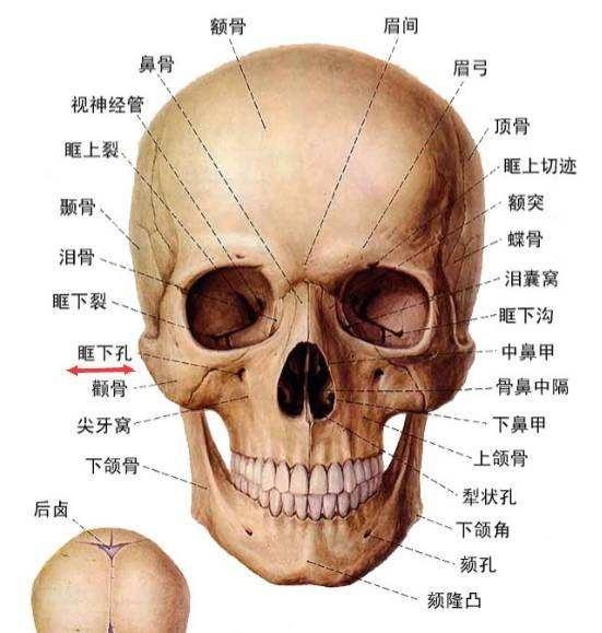 哪些习惯是会让脸变大,做这三个动作你的脸会变成小v脸
