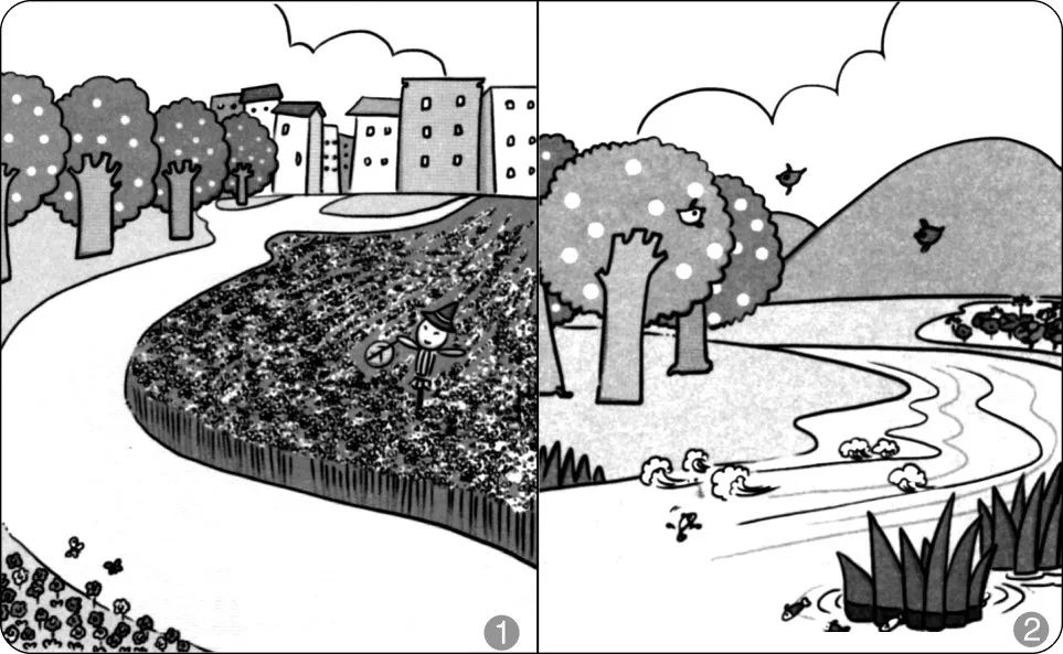 小学一二年级看图写话范文,小学一二年级看图写话范文大全