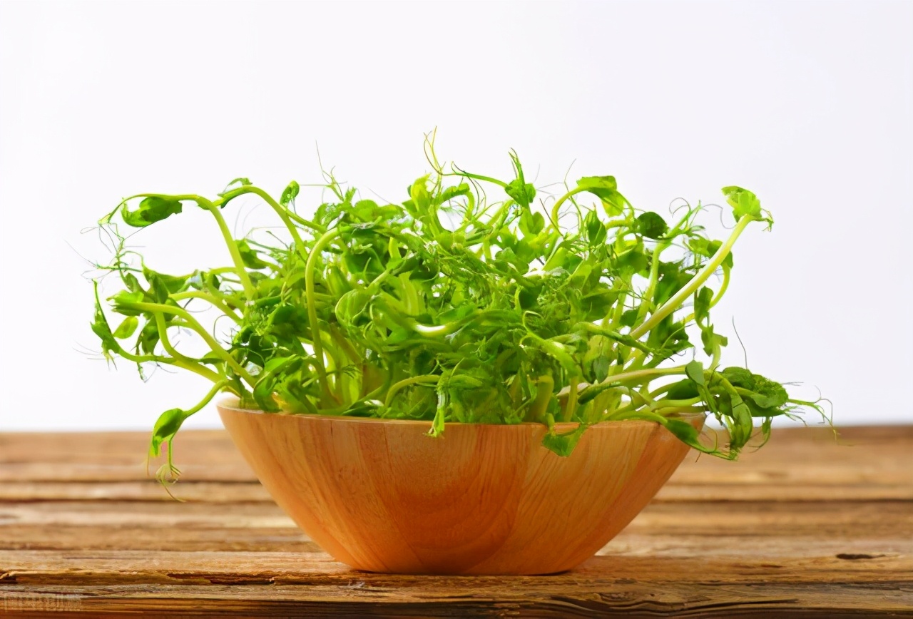 海归创业亏1700万,海归博士年收入八万万