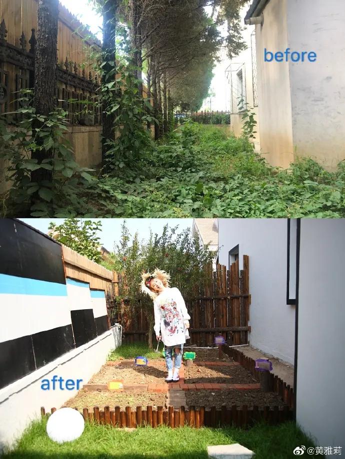 城市版的李子柒,李子柒真实的豪宅变化