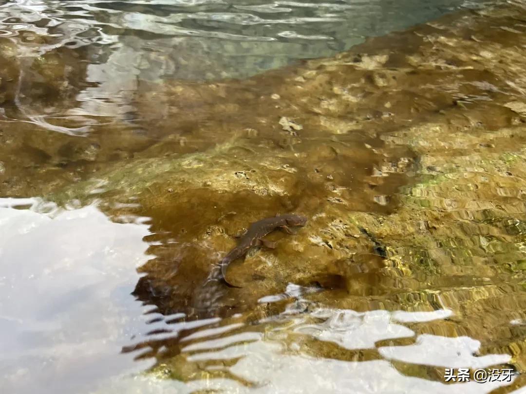 罗源管柄溪钓鱼,罗源管柄溪介绍