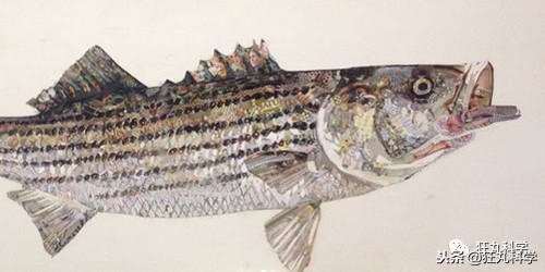 閫忚澶栨寕鐪熺殑鍋囩殑,閫忚澶栨寕鐪熷疄浜嬩欢