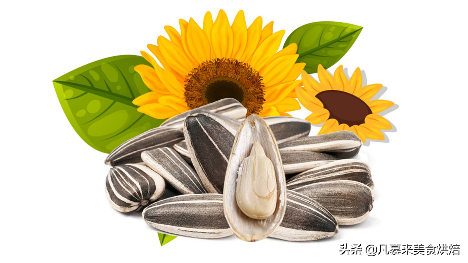 坚果中最有营养的是什么坚果,13种常见的坚果哪种坚果最有营养