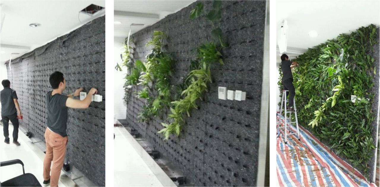 pvc塑料绿植,绿植盆里的塑料